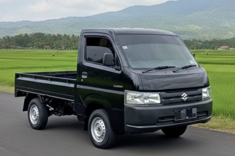 Suzuki New Carry
